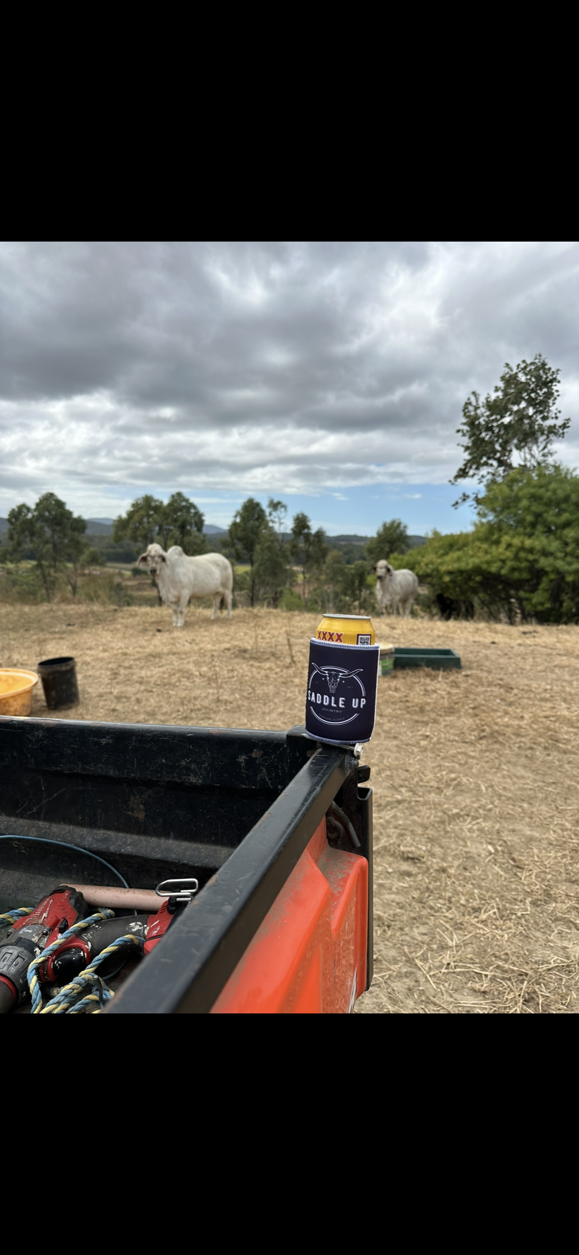 Classic stubby coolers